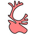 Thumbnail for version as of 17:09, 18 February 2024