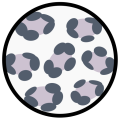 Thumbnail for version as of 17:08, 18 February 2024