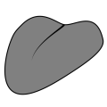 Thumbnail for version as of 17:16, 18 February 2024