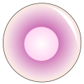 Thumbnail for version as of 17:21, 18 February 2024