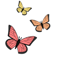 Thumbnail for version as of 17:17, 18 February 2024