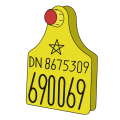 Thumbnail for version as of 17:10, 18 February 2024