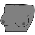 Thumbnail for version as of 17:15, 18 February 2024