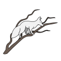 Thumbnail for version as of 17:10, 18 February 2024