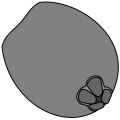 Thumbnail for version as of 17:15, 18 February 2024