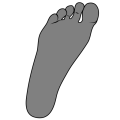 Thumbnail for version as of 17:16, 18 February 2024