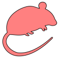 Thumbnail for version as of 17:08, 18 February 2024