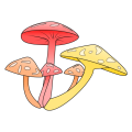 Thumbnail for version as of 17:05, 18 February 2024