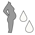 Thumbnail for version as of 17:12, 18 February 2024