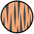 Thumbnail for version as of 17:08, 18 February 2024
